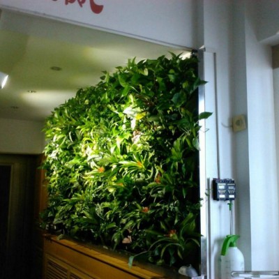 artificial grass wall, indoor or out door leaf wall for home decorations