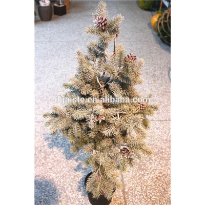 60cm Artificial all white Christmas ornamental small fake pine tree with snow effect