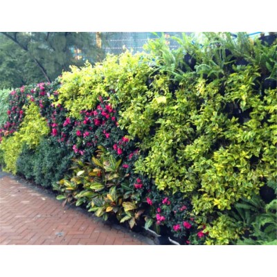 wholesale outdoor new design artificial landscape indoor green plant wall