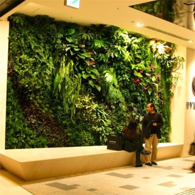 outdoor artificial plants plastic plants/ plant wall for indoor and outdoor decoration with factory price