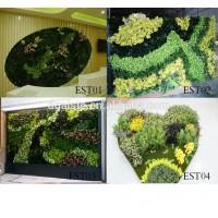 2016 compound wall design,outdoor green plants,future design fake plants wall