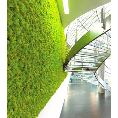 1*2m decorative artificial moss  wall fake grass wall