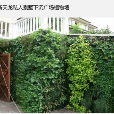 green walls/outdoor artificial plants plastic plants for decoration